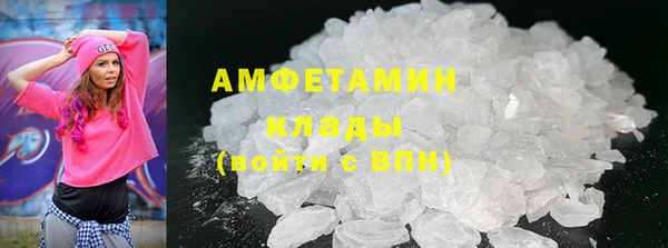 стаф Алзамай