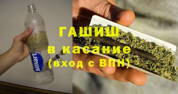 стаф Алзамай
