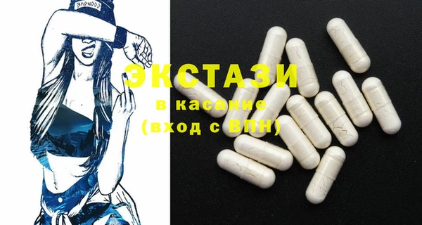 стаф Алзамай