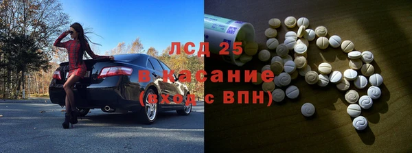 стаф Алзамай